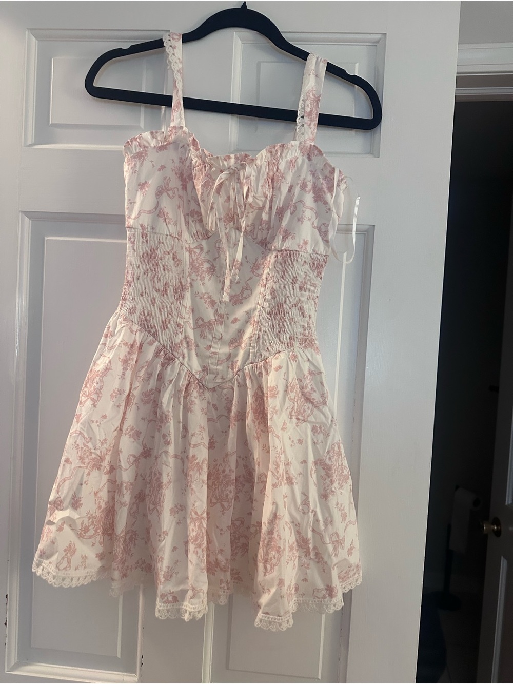 Trixxi Cream Mini Dress with Pink Toile Print and Lace Trim